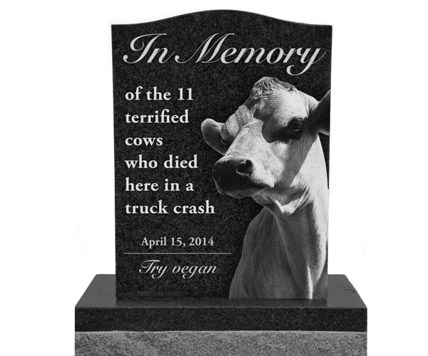 Simple upright granite plaques monuments with carving bull relief